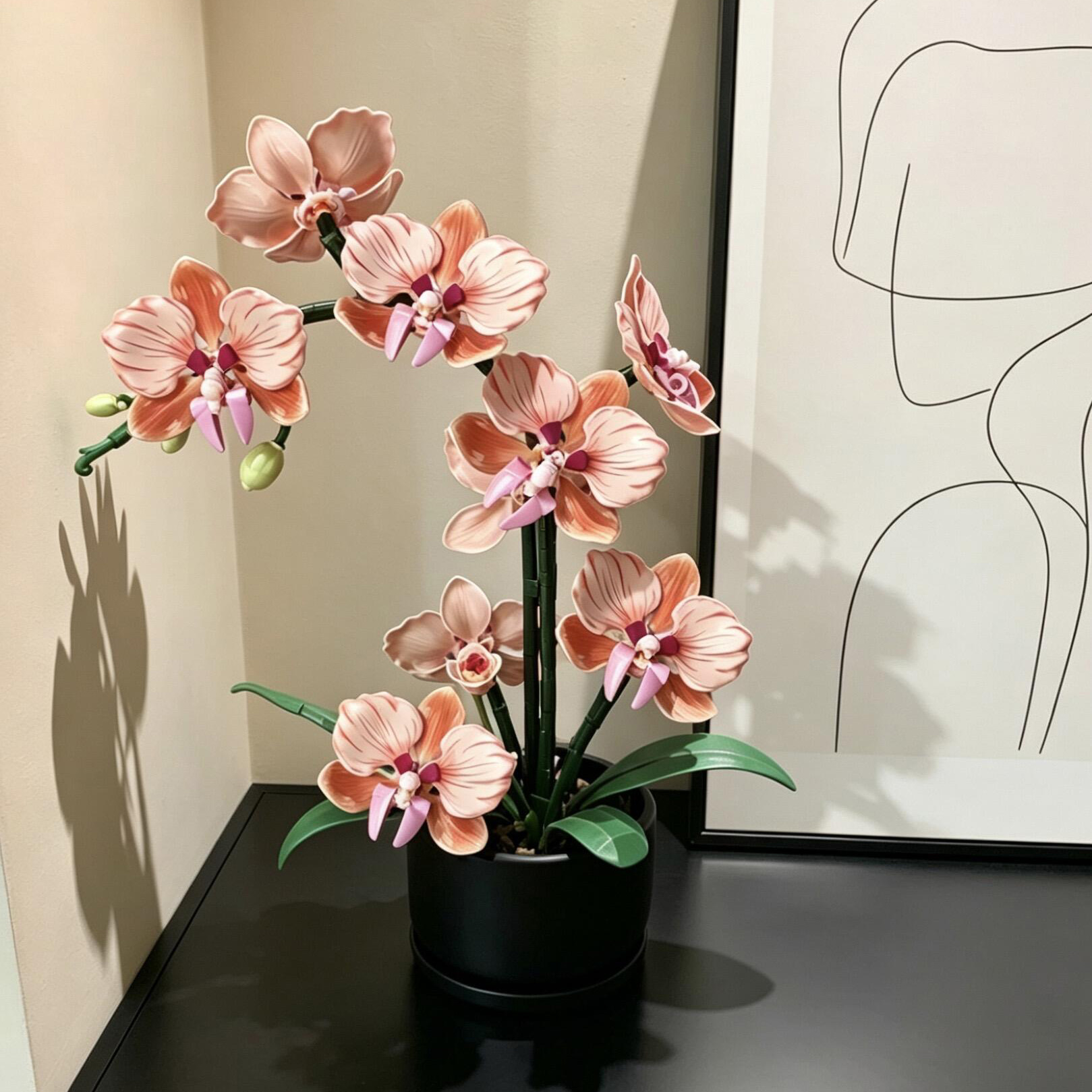 view