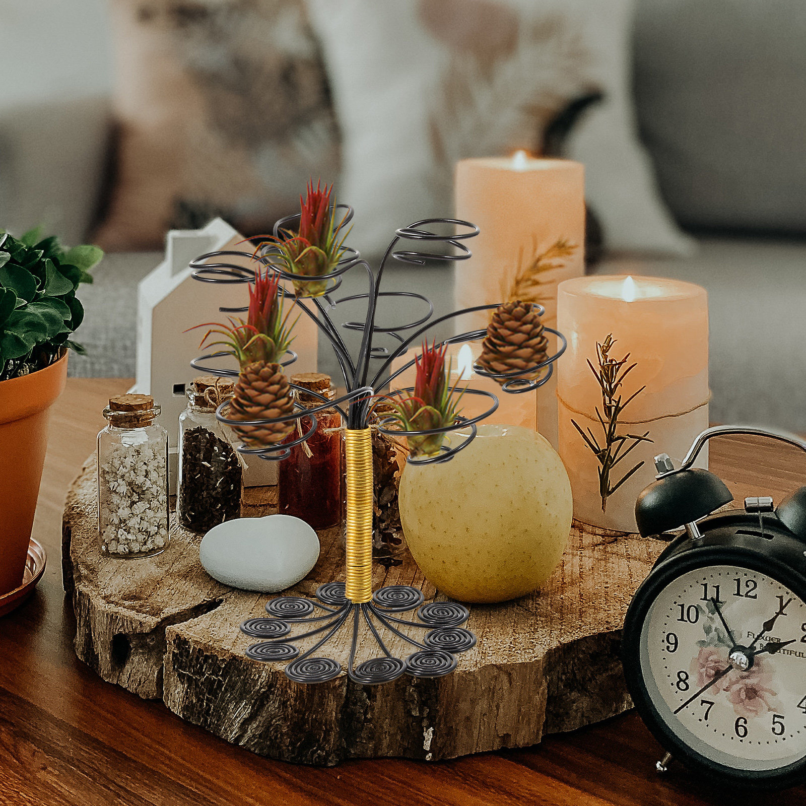 view